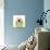 Chrysanthemum Pop-Albert Koetsier-Photographic Print displayed on a wall