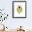 Chrysanthemum Portrait-Albert Koetsier-Framed Premium Giclee Print displayed on a wall