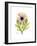 Chrysanthemum Portrait-Albert Koetsier-Framed Premium Giclee Print