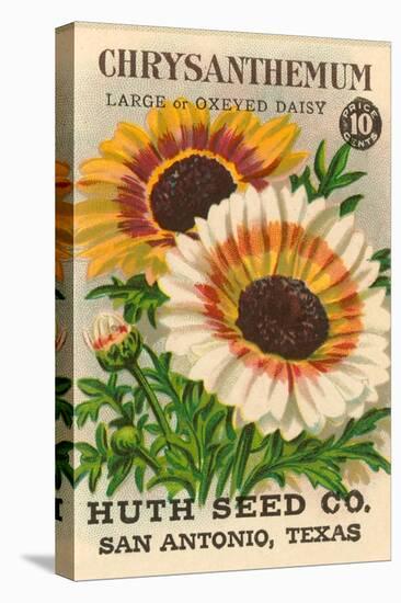 Chrysanthemum Seed Packet-null-Stretched Canvas