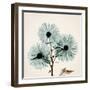 Chrysanthemum Sky-Albert Koetsier-Framed Photographic Print