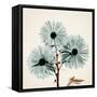 Chrysanthemum Sky-Albert Koetsier-Framed Stretched Canvas