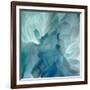 Chrysanthemum VII-David Pollard-Framed Art Print