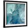 Chrysanthemum VII-David Pollard-Framed Art Print