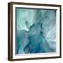 Chrysanthemum VII-David Pollard-Framed Art Print