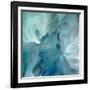 Chrysanthemum VII-David Pollard-Framed Art Print