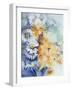 Chrysanthemum, White and Apricot-Karen Armitage-Framed Giclee Print