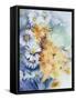 Chrysanthemum, White and Apricot-Karen Armitage-Framed Stretched Canvas