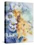 Chrysanthemum, White and Apricot-Karen Armitage-Stretched Canvas