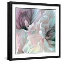 Chrysanthemum XI-David Pollard-Framed Art Print