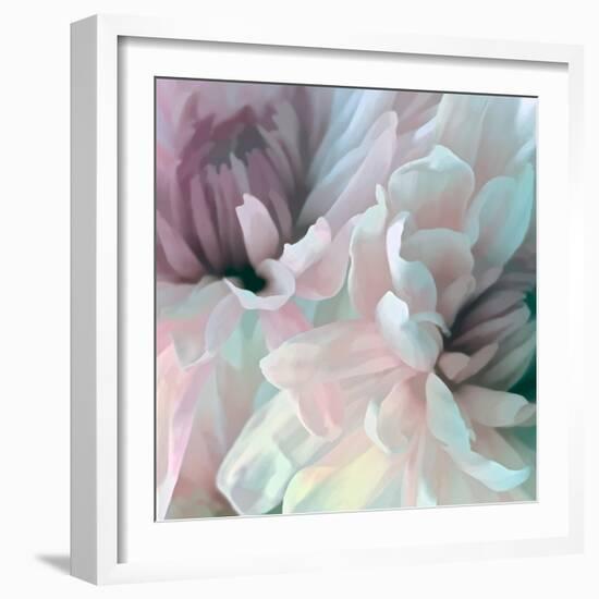 Chrysanthemum XI-David Pollard-Framed Art Print