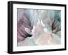 Chrysanthemum XIII-David Pollard-Framed Art Print