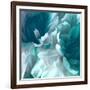 Chrysanthemum XIV-David Pollard-Framed Art Print