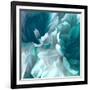 Chrysanthemum XIV-David Pollard-Framed Art Print