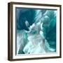 Chrysanthemum XIV-David Pollard-Framed Art Print