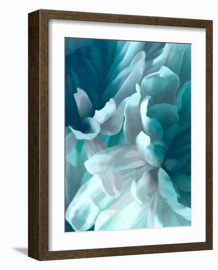 Chrysanthemum XV-David Pollard-Framed Art Print