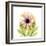 Chrysanthemum-Albert Koetsier-Framed Art Print