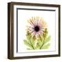 Chrysanthemum-Albert Koetsier-Framed Art Print