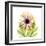 Chrysanthemum-Albert Koetsier-Framed Art Print