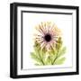 Chrysanthemum-Albert Koetsier-Framed Art Print