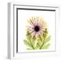 Chrysanthemum-Albert Koetsier-Framed Art Print