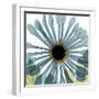 Chrysanthemum-Albert Koetsier-Framed Art Print