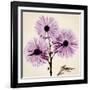 Chrysanthemum-Albert Koetsier-Framed Photographic Print