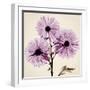Chrysanthemum-Albert Koetsier-Framed Photographic Print