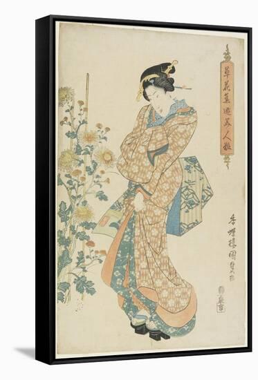 Chrysanthemums, 1830-1844-Utagawa Kunisada-Framed Stretched Canvas