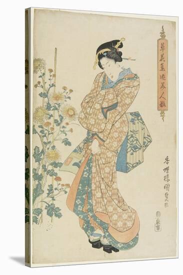 Chrysanthemums, 1830-1844-Utagawa Kunisada-Stretched Canvas