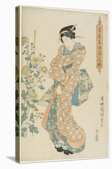 Chrysanthemums, 1830-1844-Utagawa Kunisada-Stretched Canvas