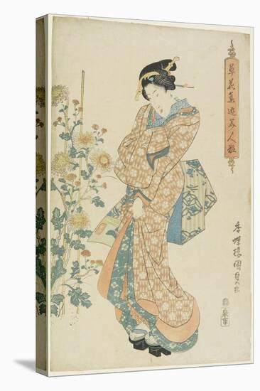 Chrysanthemums, 1830-1844-Utagawa Kunisada-Stretched Canvas