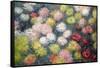 Chrysanthemums, 1897-Claude Monet-Framed Stretched Canvas
