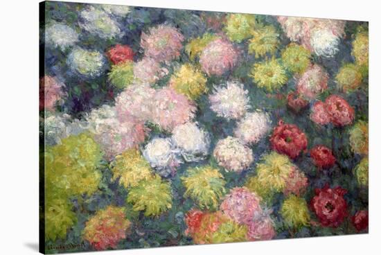 Chrysanthemums, 1897-Claude Monet-Stretched Canvas