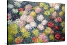 Chrysanthemums, 1897-Claude Monet-Stretched Canvas