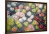 Chrysanthemums, 1897-Claude Monet-Framed Giclee Print