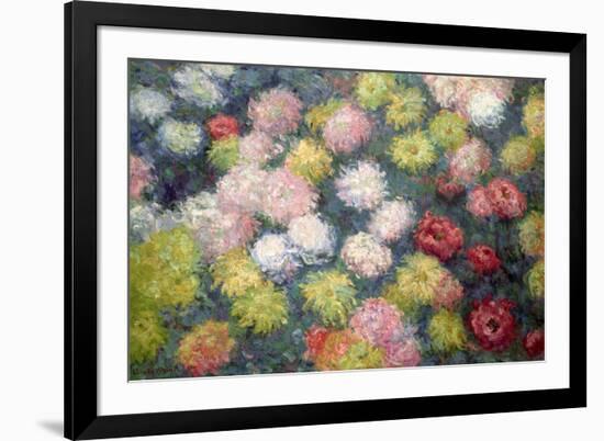 Chrysanthemums, 1897-Claude Monet-Framed Giclee Print