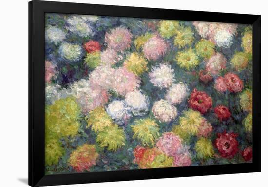 Chrysanthemums, 1897-Claude Monet-Framed Giclee Print