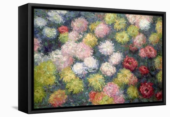 Chrysanthemums, 1897-Claude Monet-Framed Stretched Canvas