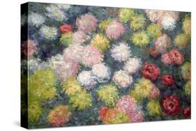 Chrysanthemums, 1897-Claude Monet-Stretched Canvas