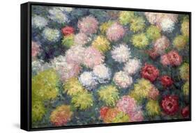Chrysanthemums, 1897-Claude Monet-Framed Stretched Canvas