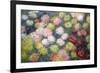 Chrysanthemums, 1897-Claude Monet-Framed Premium Giclee Print