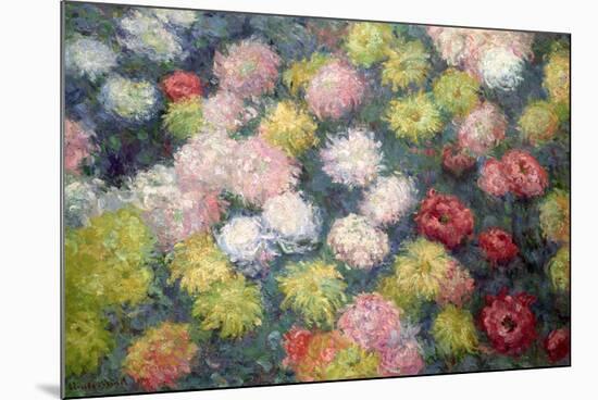 Chrysanthemums, 1897-Claude Monet-Mounted Premium Giclee Print