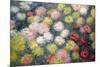 Chrysanthemums, 1897-Claude Monet-Mounted Premium Giclee Print