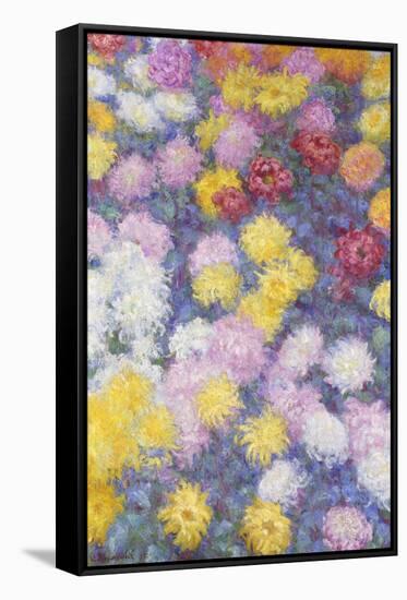 Chrysanthemums, 1897-Claude Monet-Framed Stretched Canvas