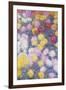 Chrysanthemums, 1897-Claude Monet-Framed Giclee Print