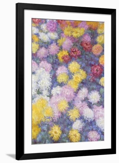 Chrysanthemums, 1897-Claude Monet-Framed Giclee Print