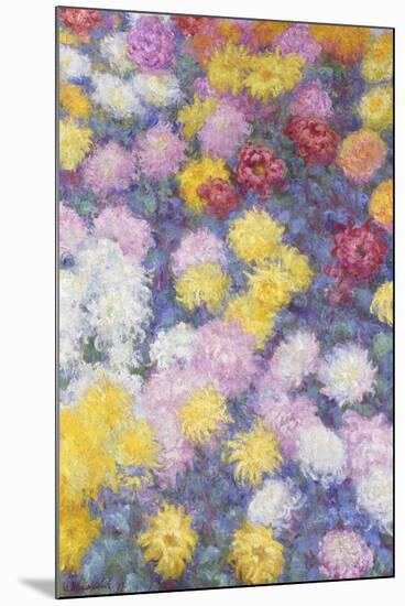 Chrysanthemums, 1897-Claude Monet-Mounted Giclee Print