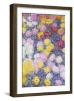 Chrysanthemums, 1897-Claude Monet-Framed Giclee Print