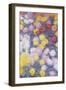 Chrysanthemums, 1897-Claude Monet-Framed Giclee Print